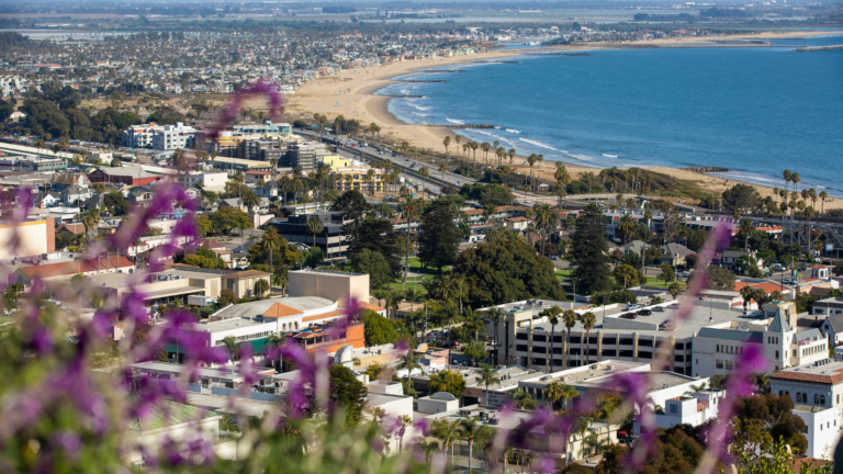 Case Law Review: Significant Environmental Law Decisions