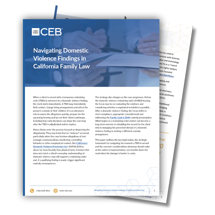 Navigating Domestic Violence Findings in California Family Law whitepaper